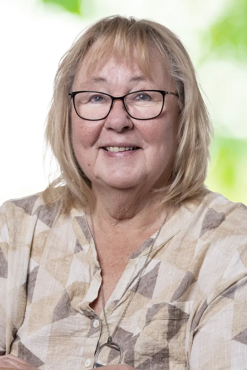 Annika Johnsson, Juristassistent